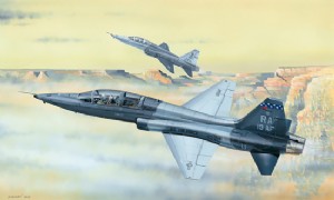 TRUMPETER 1/48 美國 T-38C 禽爪 T